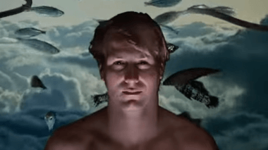 https://s4.gifyu.com/images/bLQI0.gif