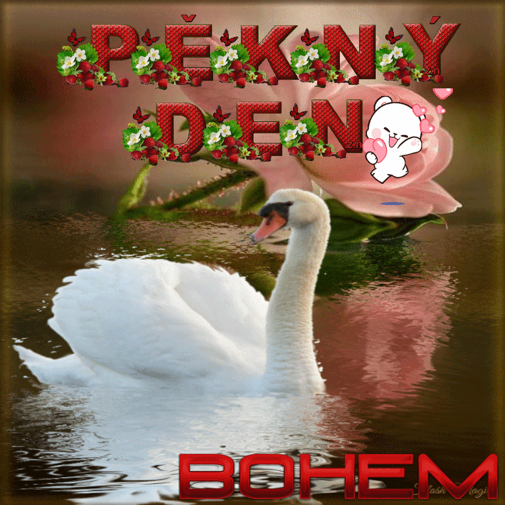 bLSN2.gif