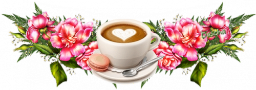 L pink kytí káva sp