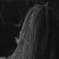 https://s4.gifyu.com/images/bLUlR.gif