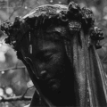 https://s4.gifyu.com/images/bLUli.gif