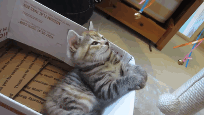 https://s4.gifyu.com/images/bLY2u.gif