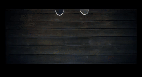 bLfm4.gif