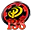 PUPUPK138