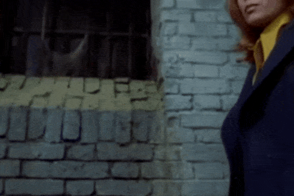 https://s4.gifyu.com/images/bLhys.gif