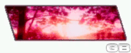 Pink Paradise