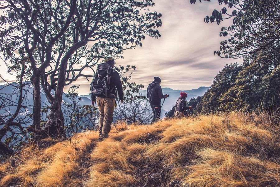 trekking in Mt Victoria