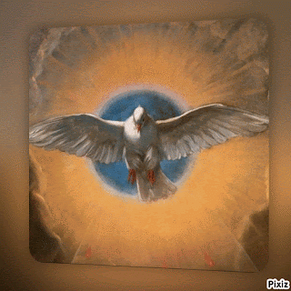 bpB6N.gif