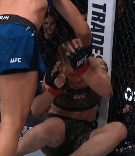 bs2us.gif