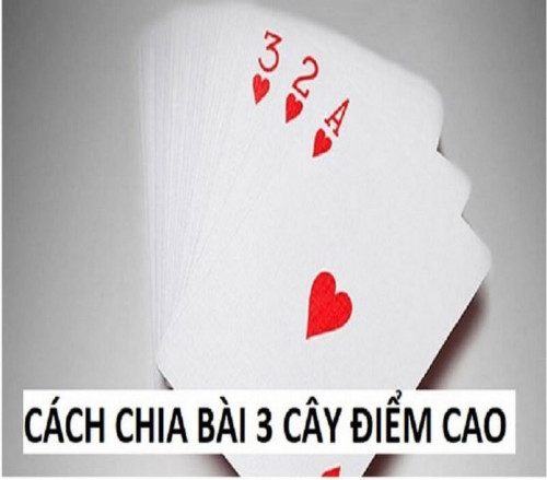 cach-chia-bai-3-cay-diem-cao-1.jpg