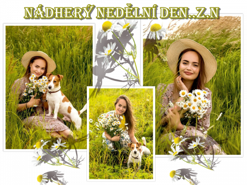 collage(15)