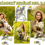 collage15