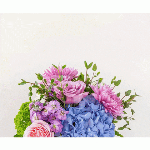 Want to send flowers online to your special friend? Try our services at Enjoyflowers.com and get freshly cut blooms delivered at their doorstep.