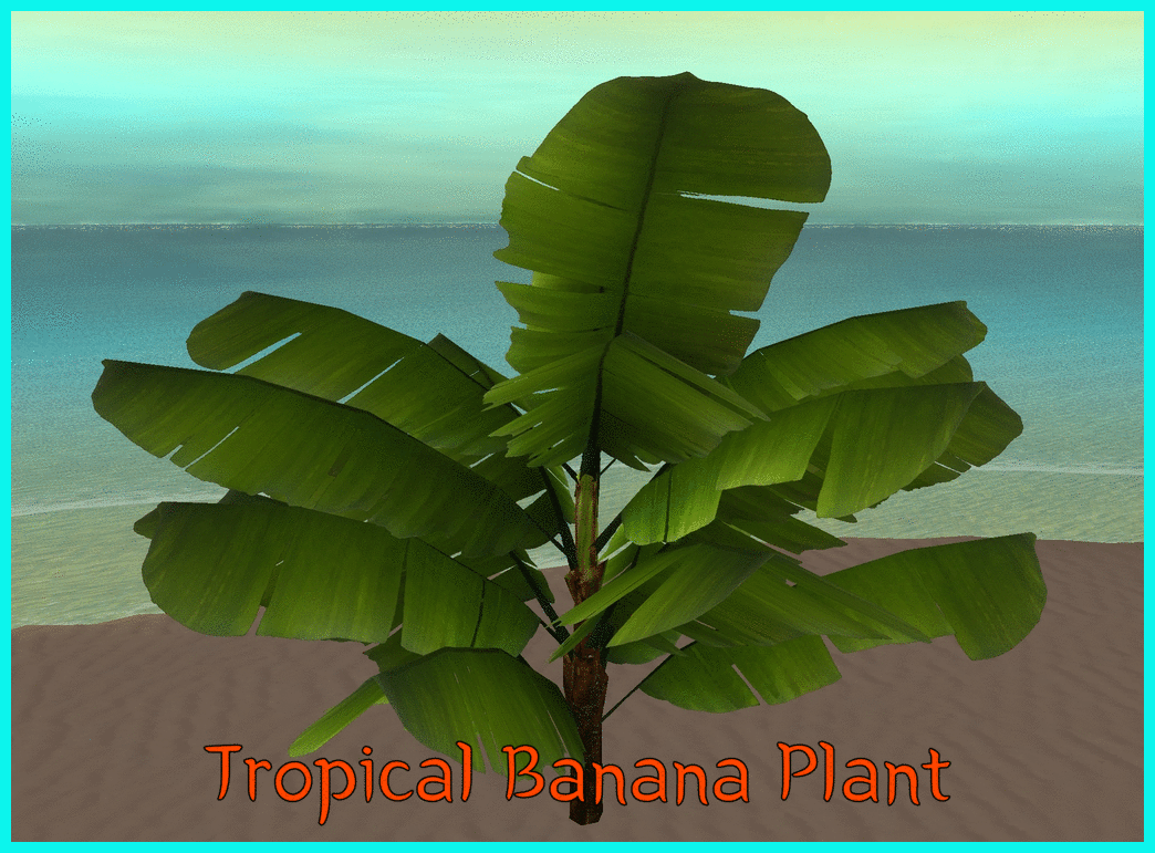 ezgif-3-72fa1a966e64-Tropical-Banana-Plant.gif