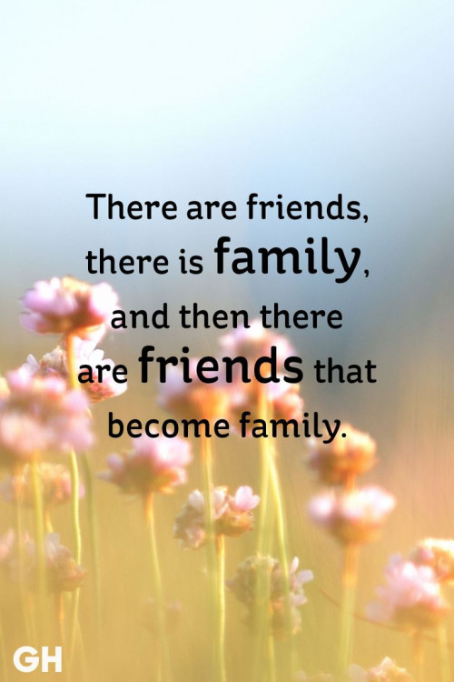 family friendship quote