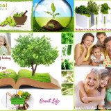 herbs-for-healthy-skin-herbal-care-products-1024x674