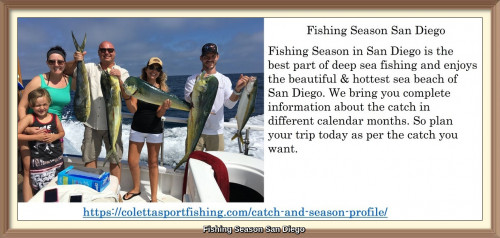 Fishing Season in San Diego is the best part of deep sea fishing and enjoys the beautiful & hottest sea beach of San Diego. We bring you complete information about the catch in different calendar months. So plan your trip today as per the catch you want.
https://colettasportfishing.com/catch-and-season-profile/