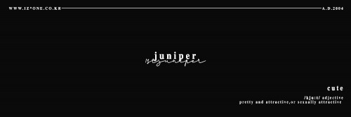 juniper-hh.jpg