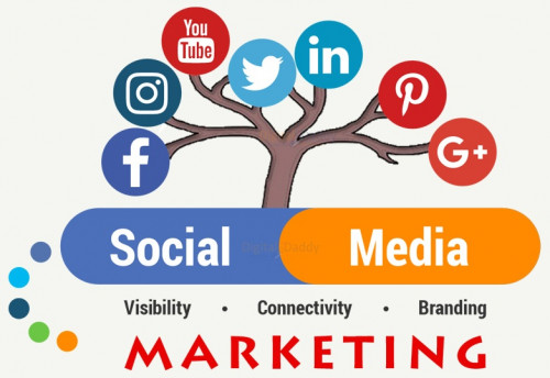 Get to Know about social media marketing service provider agency, our social media services are interactive campaigns, Social Media Management, Social Media Advertising, Infographics, Digital PR, Social Media Optimization, etc. For more information call us +91-9871121546 or visit our site: https://www.digivision360.com/social-media-marketing/